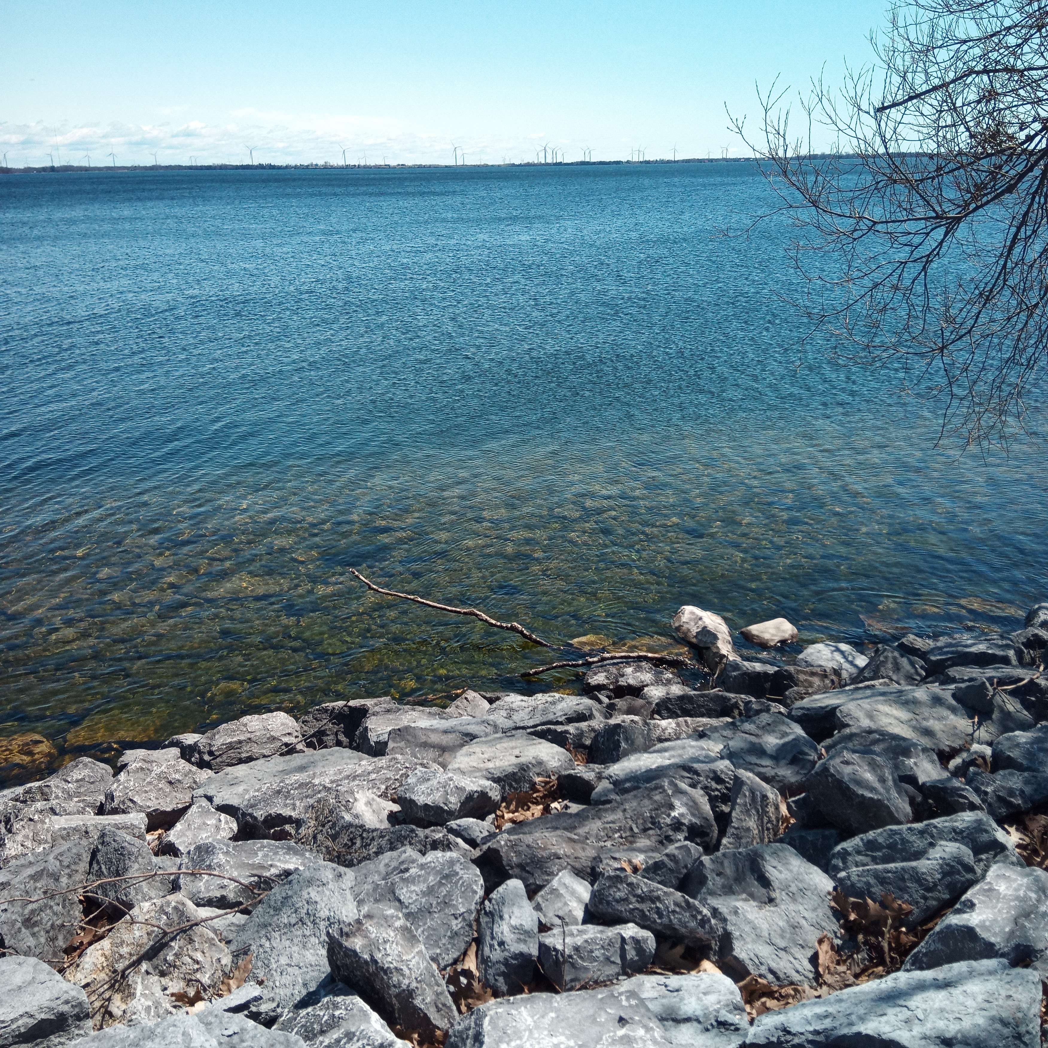 Shoreline